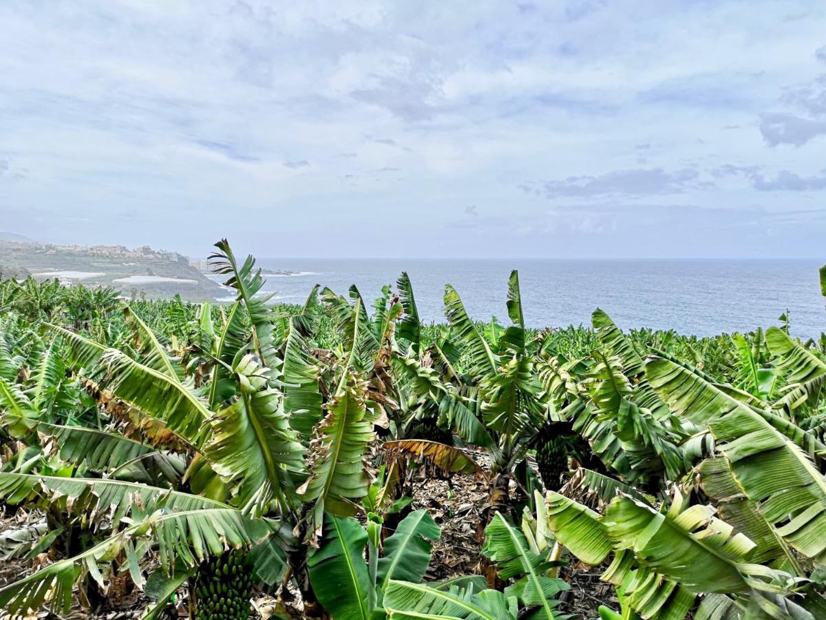 Banana Paradise La Orotava Exterior photo